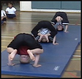 6_D22_08.jpg