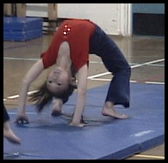 8b.jpg