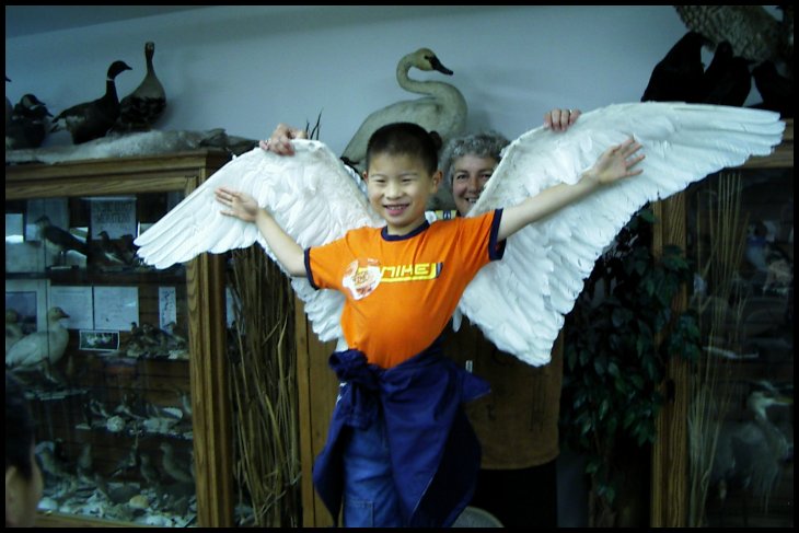 Bird6.jpg