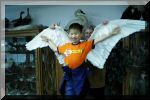 Bird6.jpg