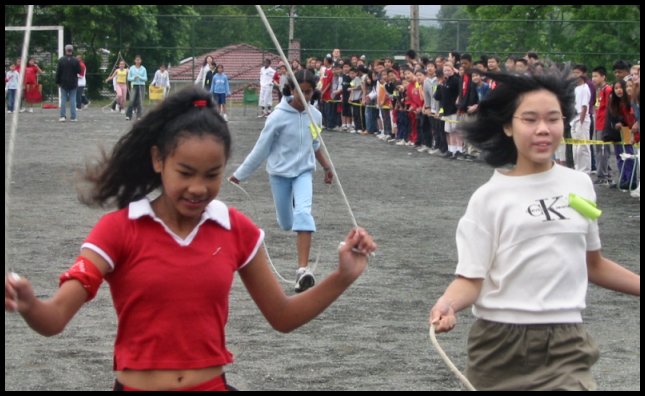 Skip01.jpg