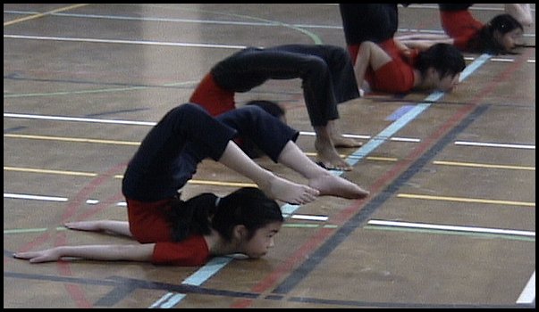 D04.jpg