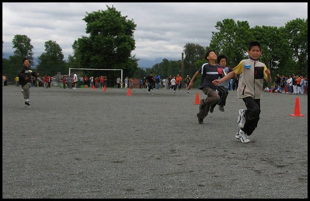 D07.jpg