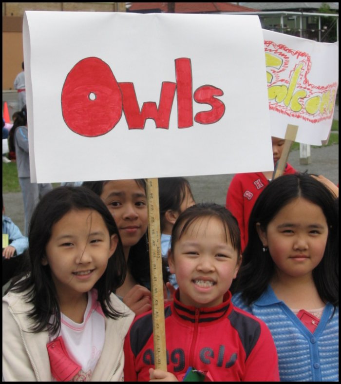 Owls.jpg