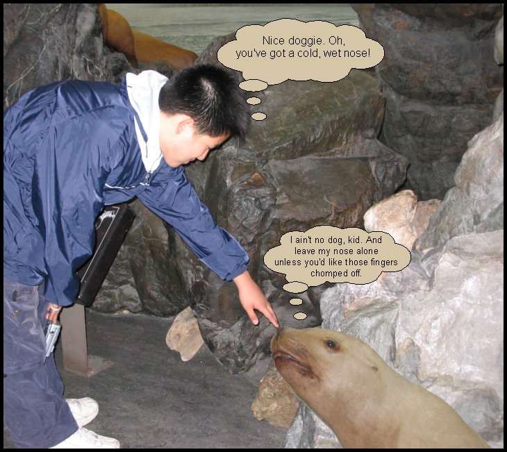 V02.jpg