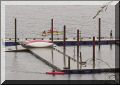 Dsc00066.jpg