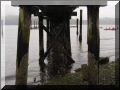 Dsc00079.jpg
