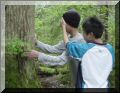 Dsc00084.jpg