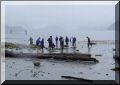 Dsc00134.jpg