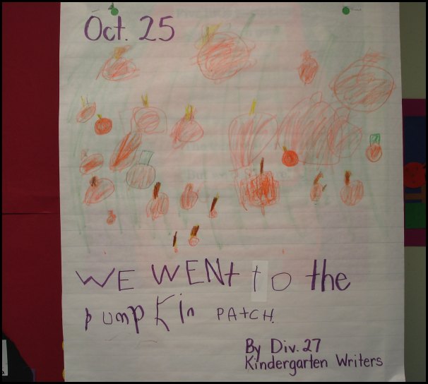 P1.jpg
