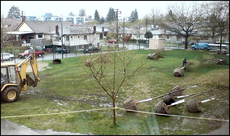 E03.jpg