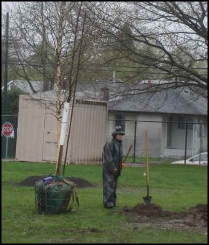 Planting01.jpg