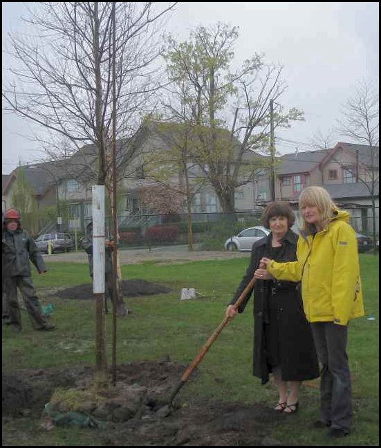 Shovel1.jpg