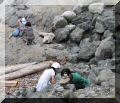 Beach02.jpg