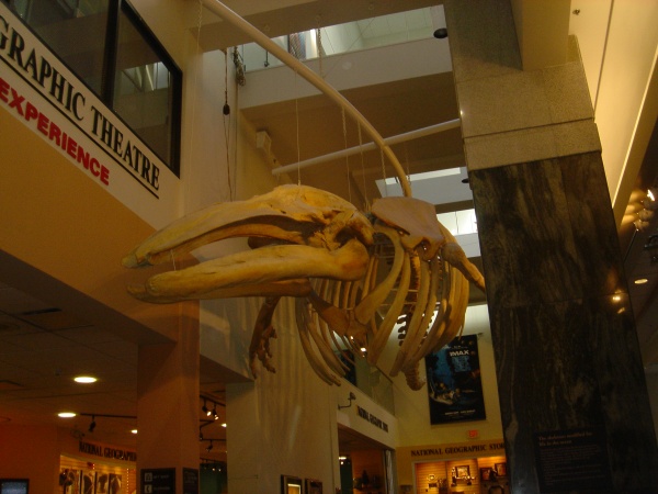 Museum02.jpg
