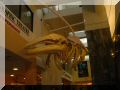 Museum02.jpg