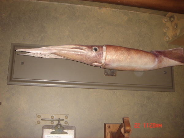 Museum14.jpg
