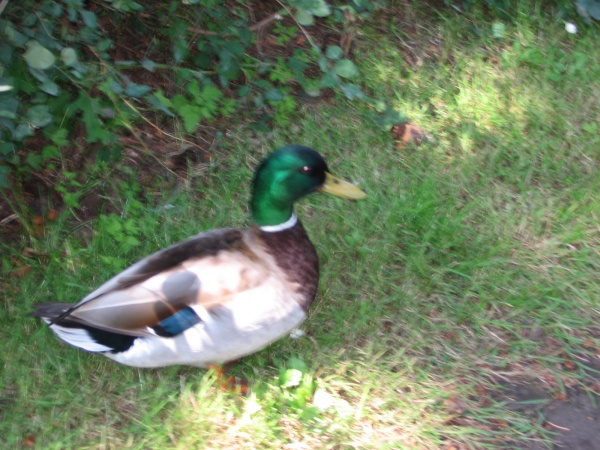 Park04.jpg
