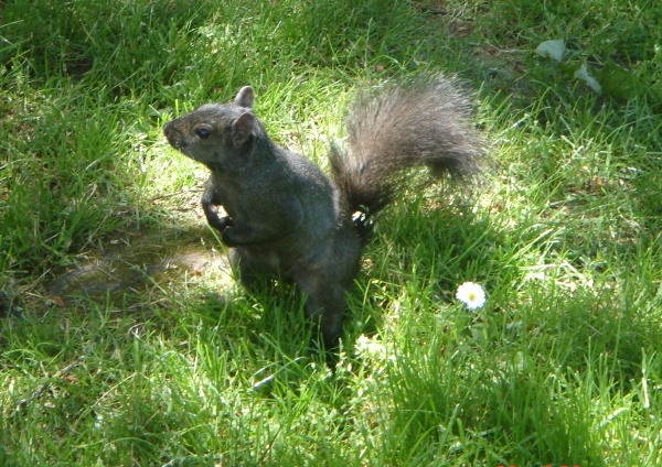 Park07.jpg