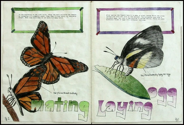 Book_AngelaLeong5.jpg