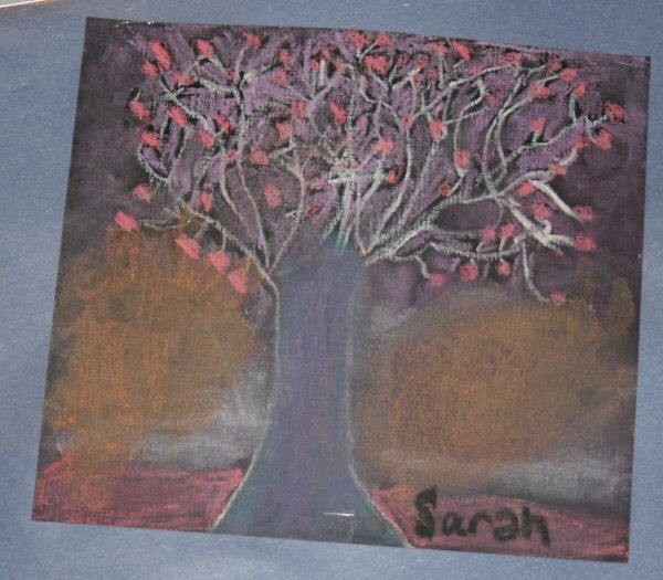 Trees-Sarah.jpg